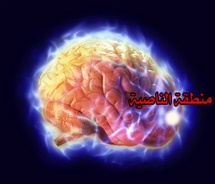 چرا انسان دروغ می گوید و خطا می کند؟ آیا در مغز انسان جای مشخصی وجود دارد که انسان را به دروغ گفتن و گناه ....
